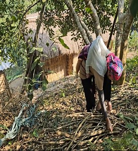 33K views · 845 reactions | Kind-hearted engineer helps single mother collect firewood and shows off his cooking skills. #singlemother #PoorMother #singlemom | Tasty Recipe | Facebook