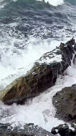 the roaring waves of the sea #shorts