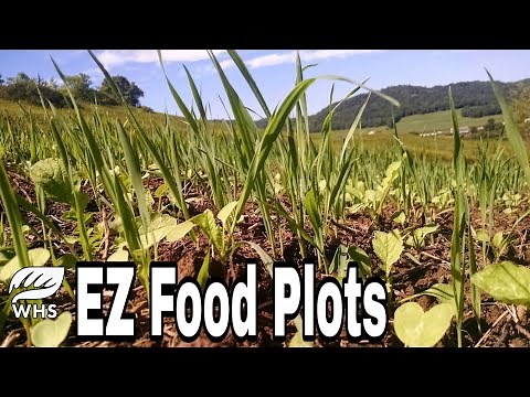 2 Easy No Till Food Plot Methods