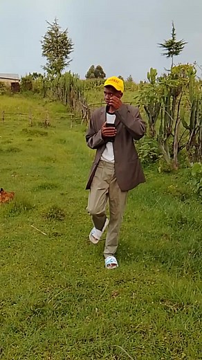 Funny Police Chase Moments Caught on Camera