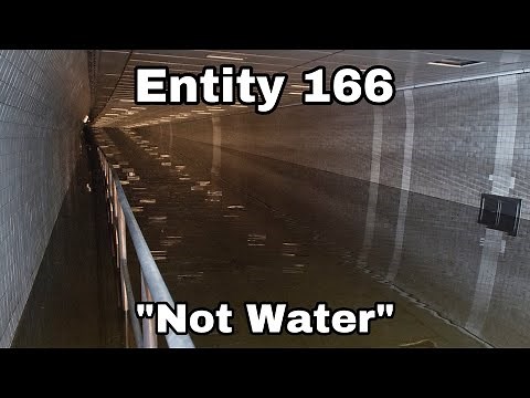Entity 166 Of The Backrooms “Not Water” | Entities Of The Backrooms