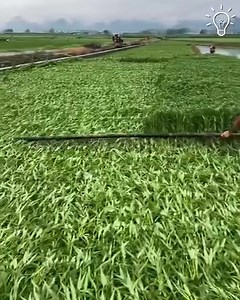 Let's do some farming today | Artistic Futures | Facebook