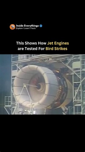 Explore l Learn l Facts on Instagram: "Before a jet engine is approved for use, it must pass extreme safety tests — one of the most dramatic being the bird strike test. During this test, engineers fire dead birds or gel-based bird substitutes into a running jet engine at high speed using a special cannon. The goal is to simulate what happens if a bird hits the engine during flight. High-speed cameras and sensors record the impact to see if the engine blades can handle it without breaking apart o