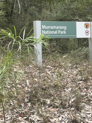 Exploring Murramarang National Park: A Coastal Paradise