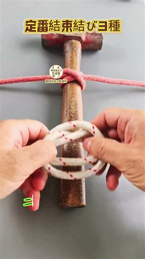 【定番結束結び3種｜魯班結び・豚足結び・パイソン結び】昔から伝わる便利な結び3種類、物固定に最適 #ロープ結び #暮らしテク