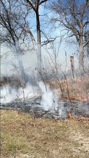 Urban Forestry | Traditional and prescribed burn