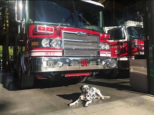 Mountain View Fire Department Celebrates 150 Years This Weekend