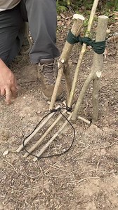 Trap in the Forest! #survival #outdoors #bushcraft | Mimi Melton