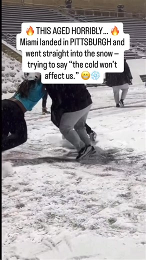 24/7 Sports | 🔥 THIS AGED HORRIBLY… 🔥 The Dolphins thought they could outsmart winter football ❄️🐬 Right after landing in PITTSBURGH, Miami went... | Instagram