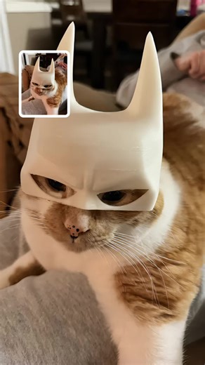 3D Printed Batman Helmet for Cats