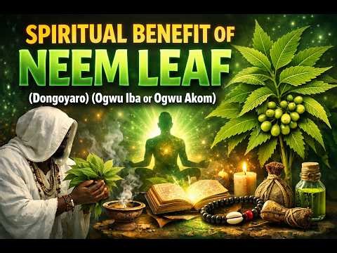 SPIRITUAL BENEFITS OF NEEM: Why Every Home Needs This Sacred Leaf