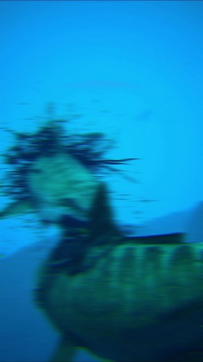 Taming the Megalodon in Ark Survival Evolved