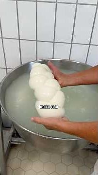 How Italians make real, fresh Mozzarella di Bufala cheese