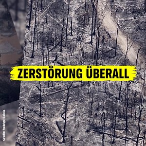 Gierige Konzerne zerstören den Amazonas immer weiter, er steht kurz vor dem Kipppunkt. 🚨 Wird dieser Punkt überschritten, hat das negative Auswirkungen auf die ganze Welt. Gemeinsam müssen wir den Amazonas schützen - unterschreibe jetzt die Petition! 📣 | Greenpeace Deutschland