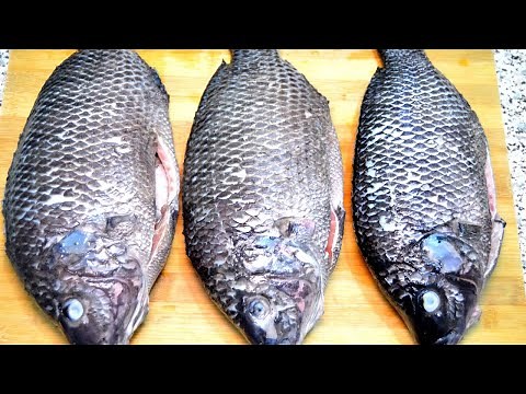 CLEAN TILAPIA FISH LIKE A PRO - The Easiest Way Ever!