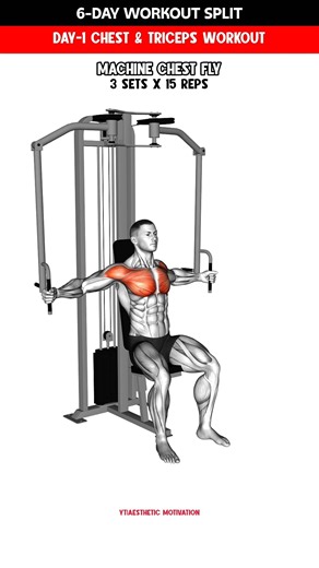 Day 1 Chest & Triceps Workout | 6 Day Split for Aesthetic Physique #chestworkout #tricepsworkout