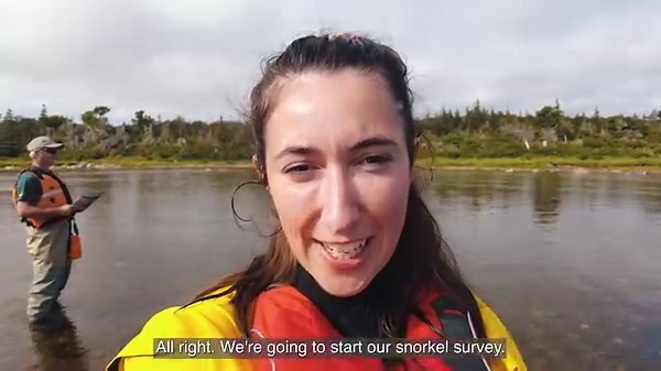 21K views · 265 reactions | Dive into the incredible efforts to...