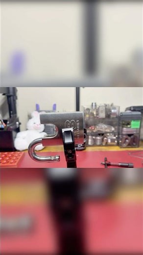 Another DD Lock picked open