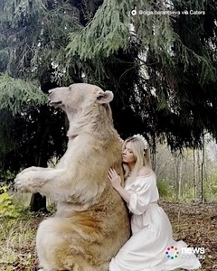 513K views · 75K reactions | This grizzly bear just wants a hug ❤ | News.com.au | Facebook