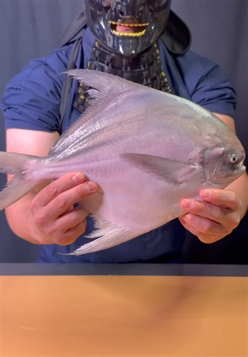What Fish Is This? Fish Breakdown この魚何かわかる？ Japan Fish Cutting 🐟 Samurai Sashimi Plating #sushi #asmr #foodart #knifeskills #japan