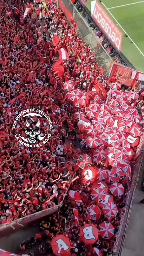 22K views · 1.7K reactions | QUE LA CUENTEN COMO QUIERAN  LA FIESTA LA HACE  LOS DUEÑOS DE AVELLANEDA  LA BARRA DEL ROJO  #losdueñosdeavellaneda #labarradelrojo #orgullonacional #todorojo #caindependiente #reydecopas #estadiolibertadoresdeamerica #clubatleticoindependiente #enelbarriomandoyo | Los Dueños de Avellaneda | Facebook