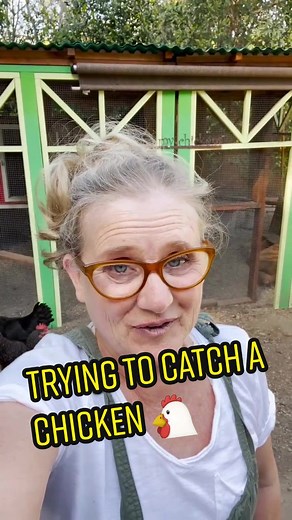 Catching a Chicken: A Fun and Easy Guide