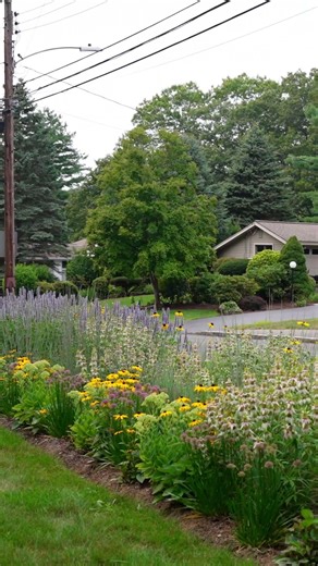 CHOOSE YOUR MEADOW