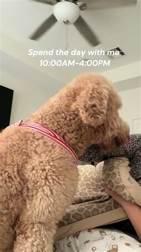 Spend the day with me! Hair apt , 2 mile walk, grocery run! ✨ Instagram-michellepaaz Snapchat-michelleepaz #fyp #michellepaz #dayinmylife