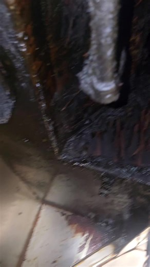 Expert Kitchen Exhaust Cleaning Solutions