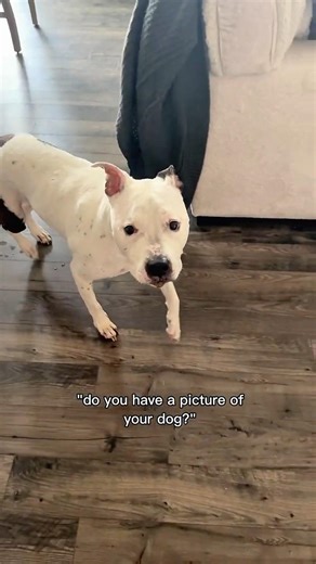 Meet my 9 year old big baby Kasper!