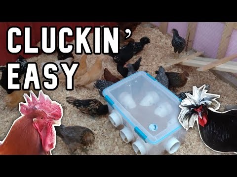 Easy chicken coop bedding maintenance - deep litter method