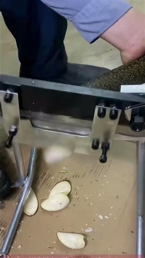 Full Process Demonstration of Medicinal Material Cutting