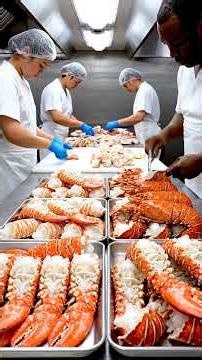 From Live Alaskan Lobster to Frozen Export in 60 Seconds | Inside the Factory