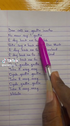 Gentle Investor: Lyrics Video for Viral Entertainment