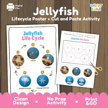Jellyfish Life Cycle Chart & Cut and Paste Activity | Ocean Biology Worksheet