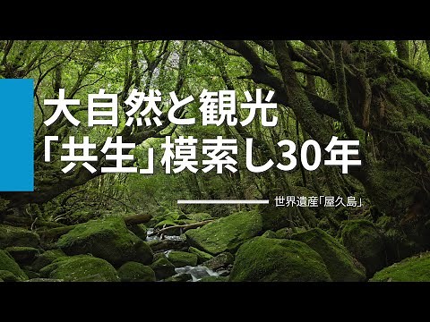 大自然と観光「共生」模索し30年 世界遺産「屋久島」
