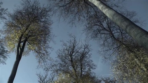 Chaleur humaine(Human Warmth) 2012 033