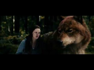 Twilight wolves - wonderland