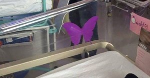 Purple butterfly sticker near newborns – here's what it means