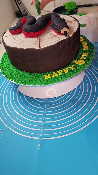 Snake Cake! #fyp #foryoupage #cakedecorating #snake #snakes #celebration #celebrationcake #cake #glutenfreebaking #birthday #glutenfreecake
