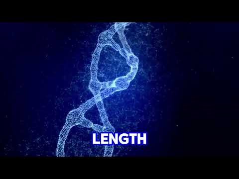 How is Gene Expression Controlled?