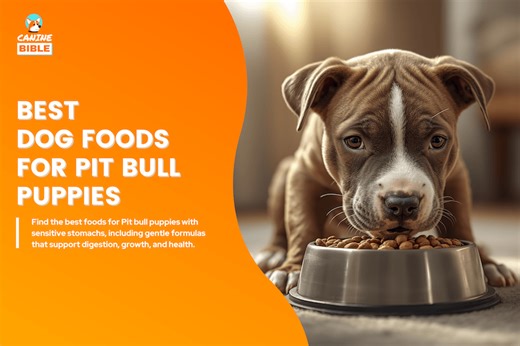 The 10 Best Dog Foods for Pit Bull Puppies 2026: Vet-Approved - Canine Bible