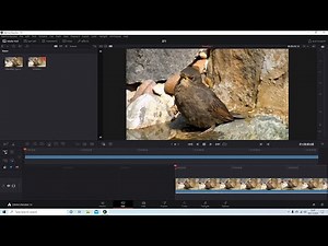 Davinci Resolve: How To Stabilize Shaky Videos Using Free Video Editing Software.