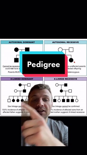 Understanding Pedigree and Genetics in AP Biology