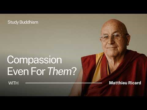 Why We Get Compassion All Wrong | Matthieu Ricard