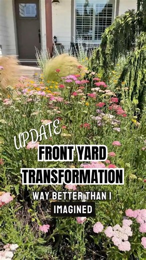 Front Yard Transformation — this turned out better than expected | Pre-Planned Garden Results