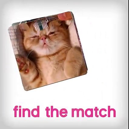 29K views · 198 reactions | If you love kitties , memes , and belly-laughing with friends at game night , you'll love Cat Face: The hilarious game where you match adorable cat faces with hysterical phrases! Pick up yours today at 40% off! https://amzn.to/3GLUQQV | Try Not to Laugh | Facebook