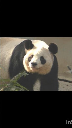 Ryohama 🍯 New area debut ✨ Today I'll be checking it out and coming out occasionally ✨