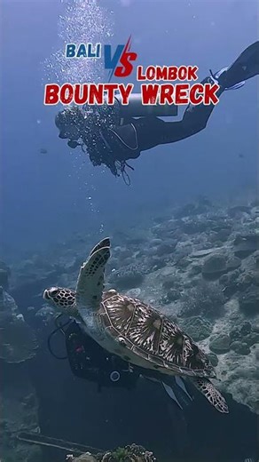 Bali’s Hidden Wreck vs Lombok’s Famous Dive #bali #lombok #wreckdiving