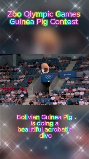 Guinea Pig Contest · Freestyle Acrobatics Dives? · Olympic Games · Round Six